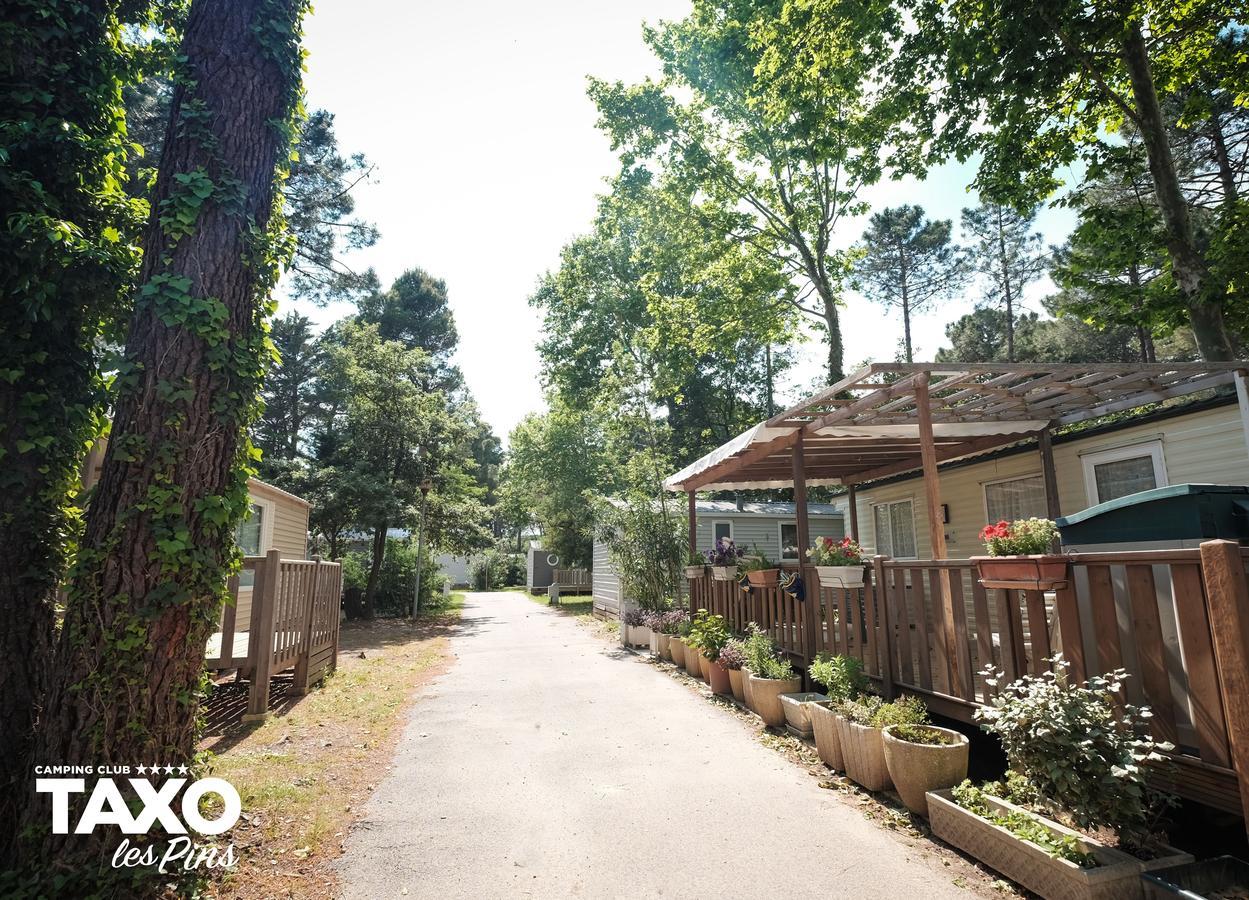 Camping Taxo Les Pins Argelès-sur-Mer Esterno foto