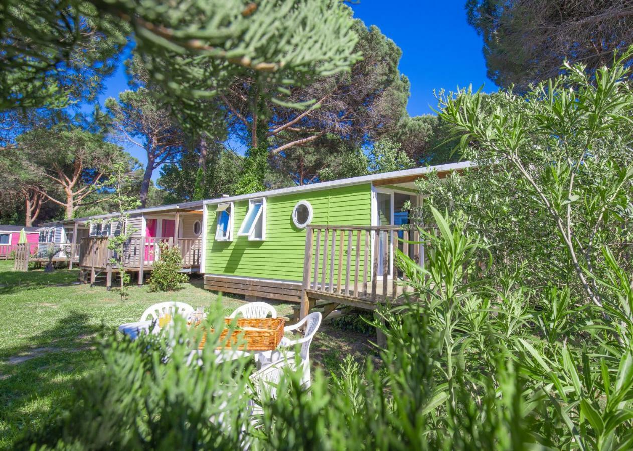 Camping Taxo Les Pins Argelès-sur-Mer Esterno foto